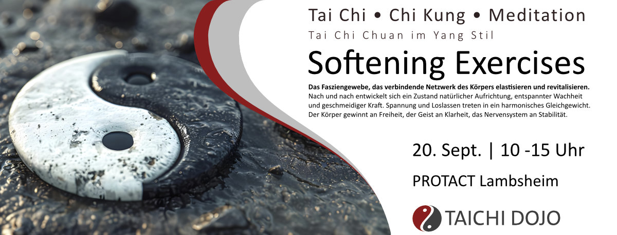 DOJO Werbung Newsletter SofteningExercises2