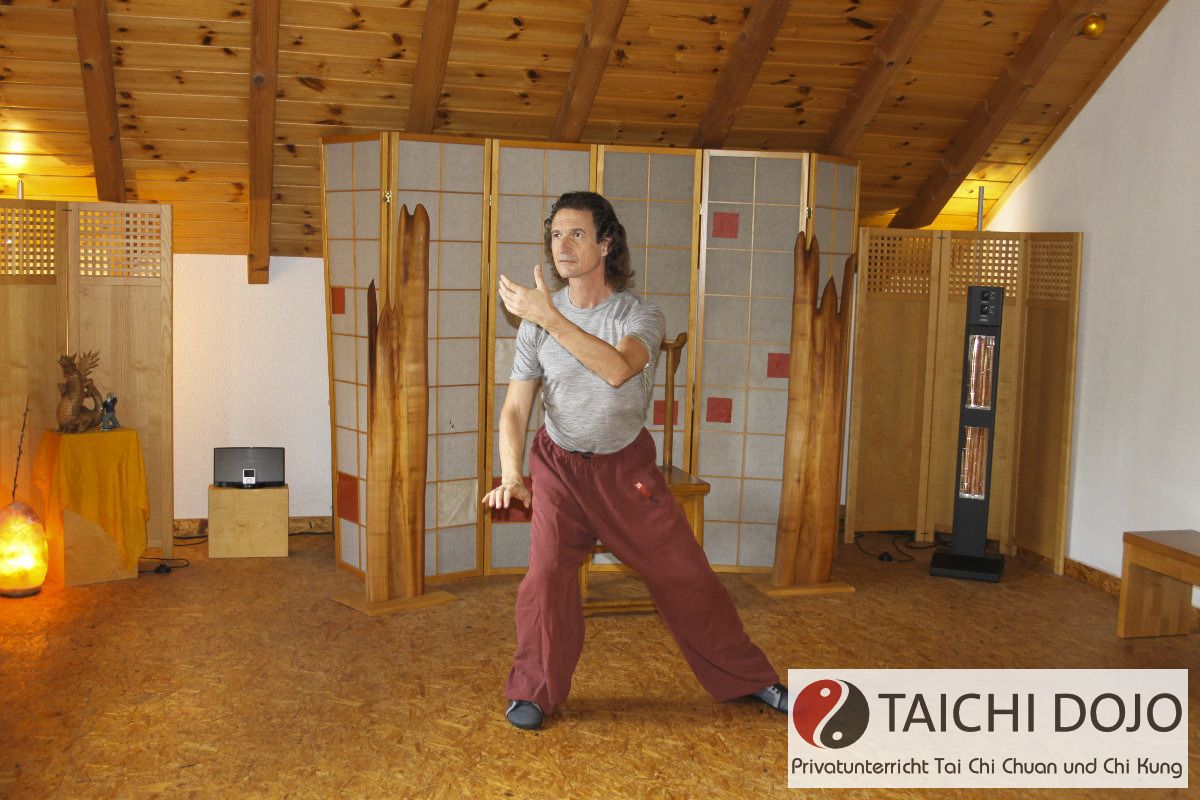 taichi dojo bernd haber form02x800