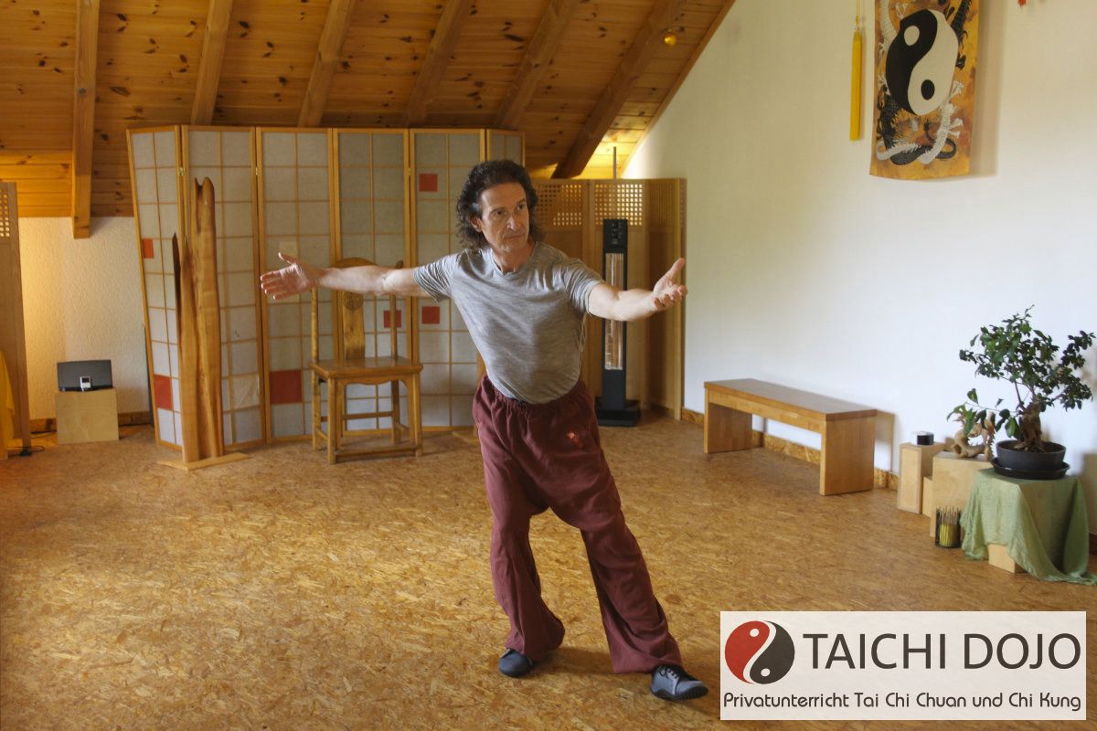 taichi dojo bernd haber form05x800