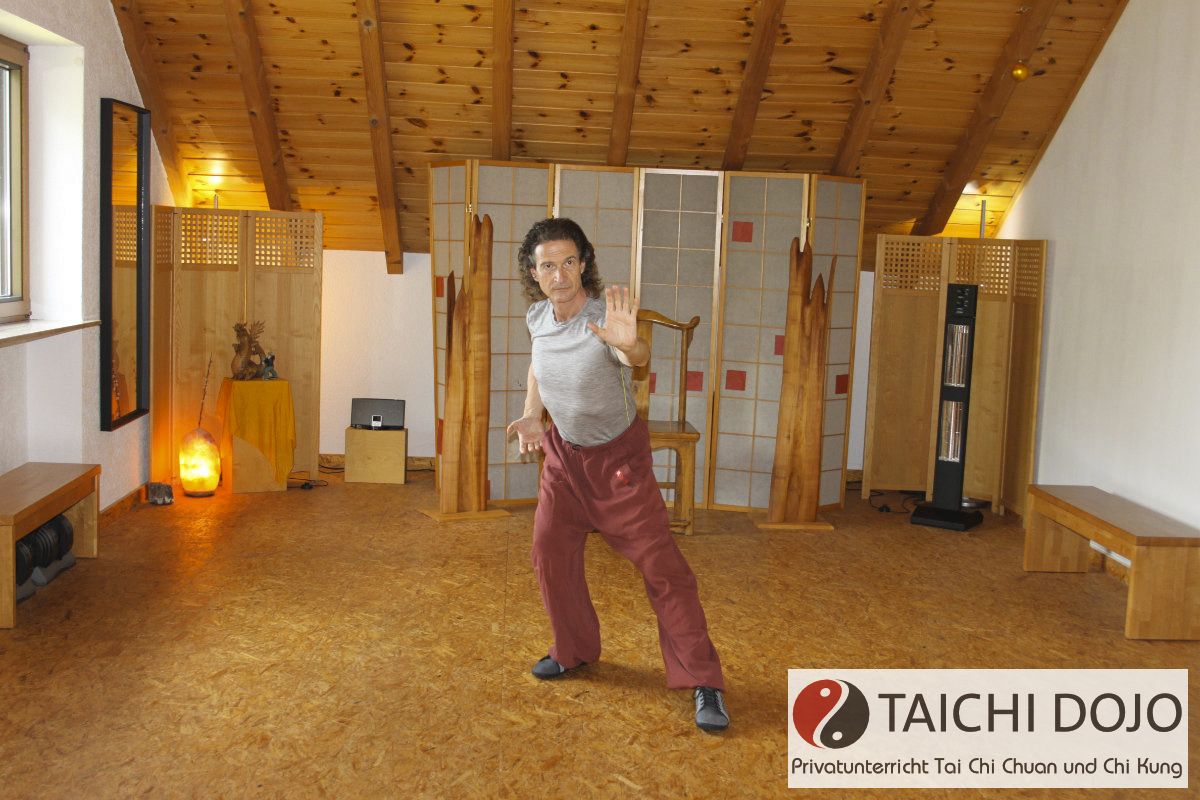 taichi dojo bernd haber form06x800