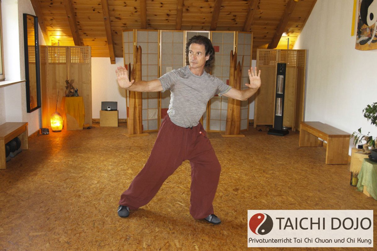 taichi dojo bernd haber form07x800